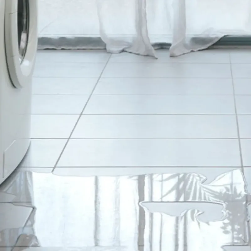 Appliance Leak Cleanup in Madison, IN