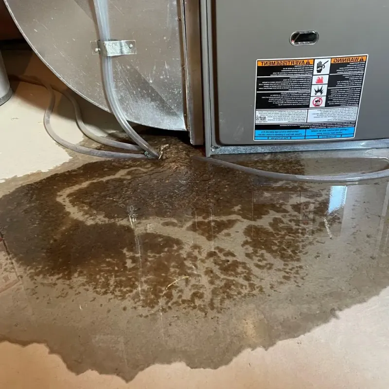 Pipe Burst and Leak Restoration in Madison, IN